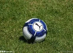 杏彩体育,最新版下载,产品,杏彩体育平台官网入口,杏彩体育官方网站,杏彩体育平台首页官网入口,杏彩体育app最新版下载