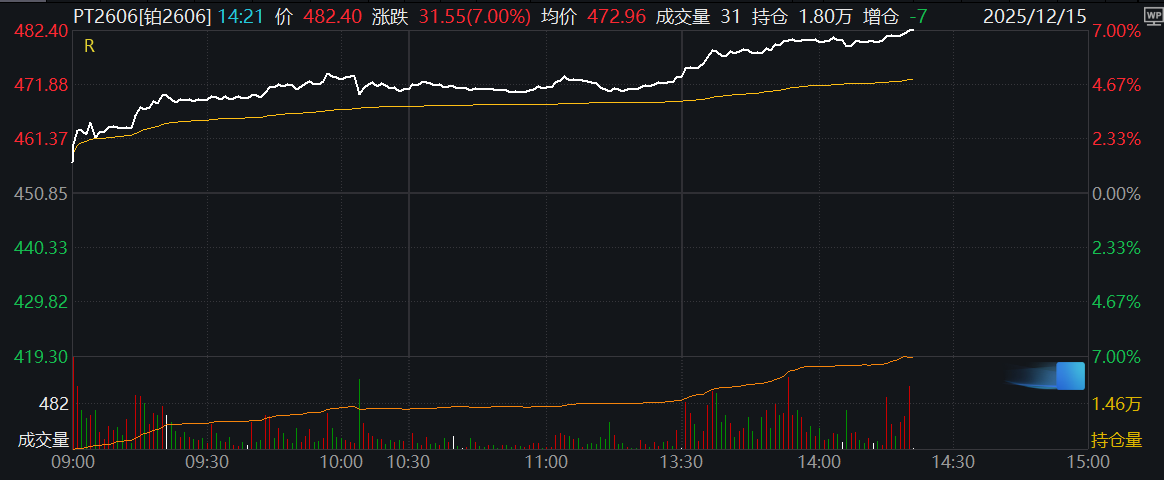 养老院：年轻面孔的入住现象解析