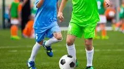 杏彩体育app最新版下载 产品 101056 vai