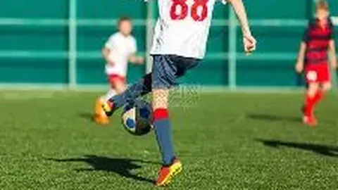 杏彩体育app最新版下载 产品 121726 dbl