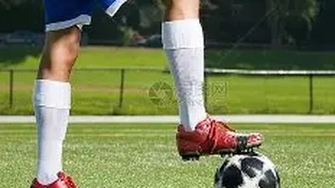 杏彩体育app最新版下载 产品 121137 gwb