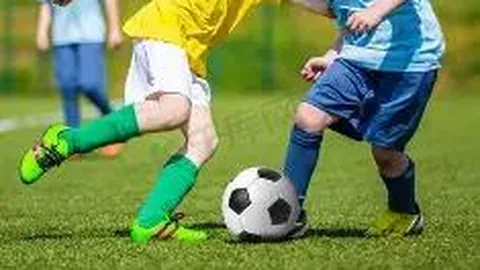 杏彩体育app最新版下载 产品 100729 057